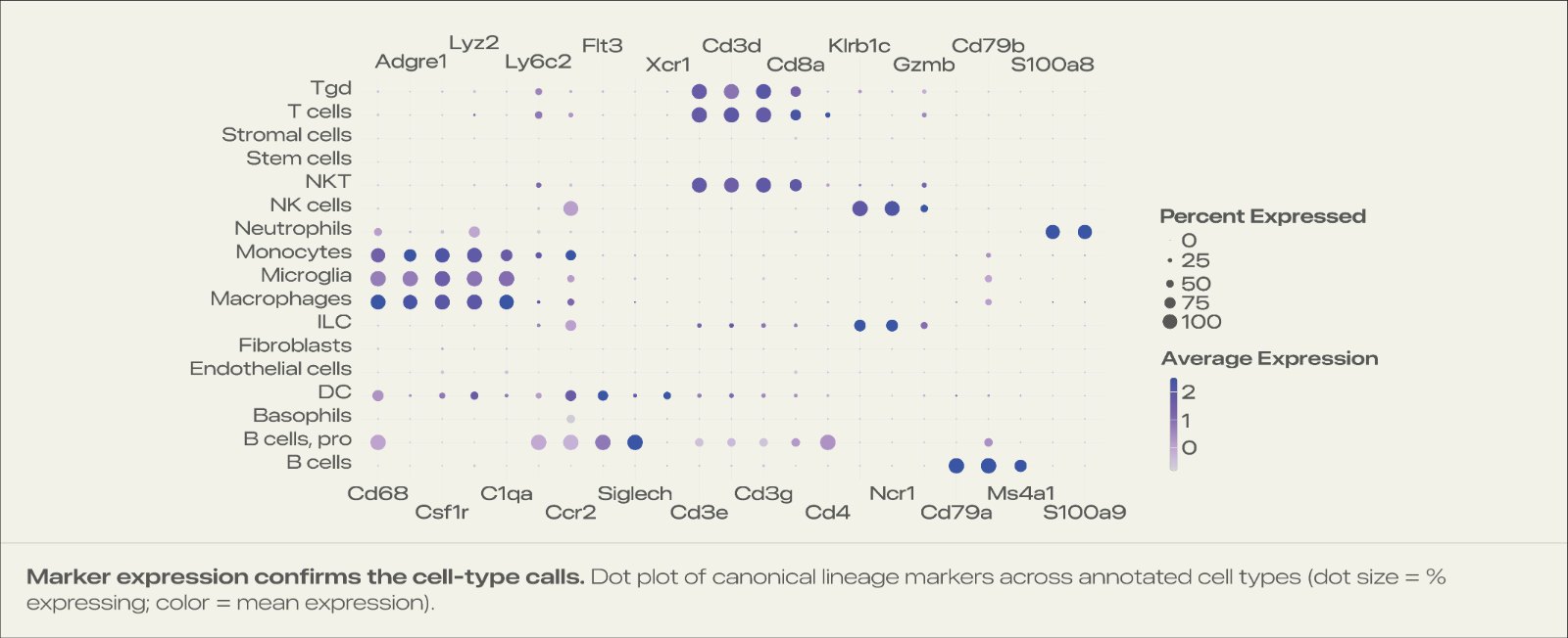 marker expression dot plot